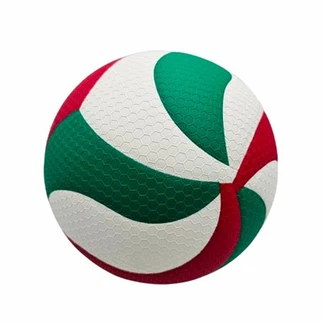 Official Fivb Indoor Volleyball